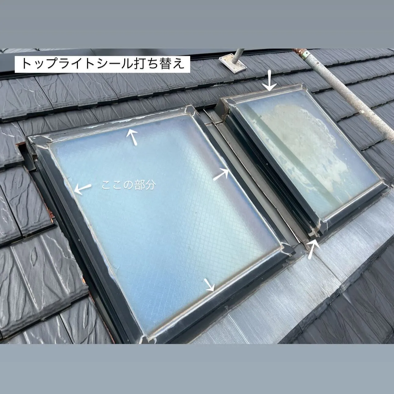 相模原市A様邸 【トップライトシール打ち替え・ベランダ床ケレ...