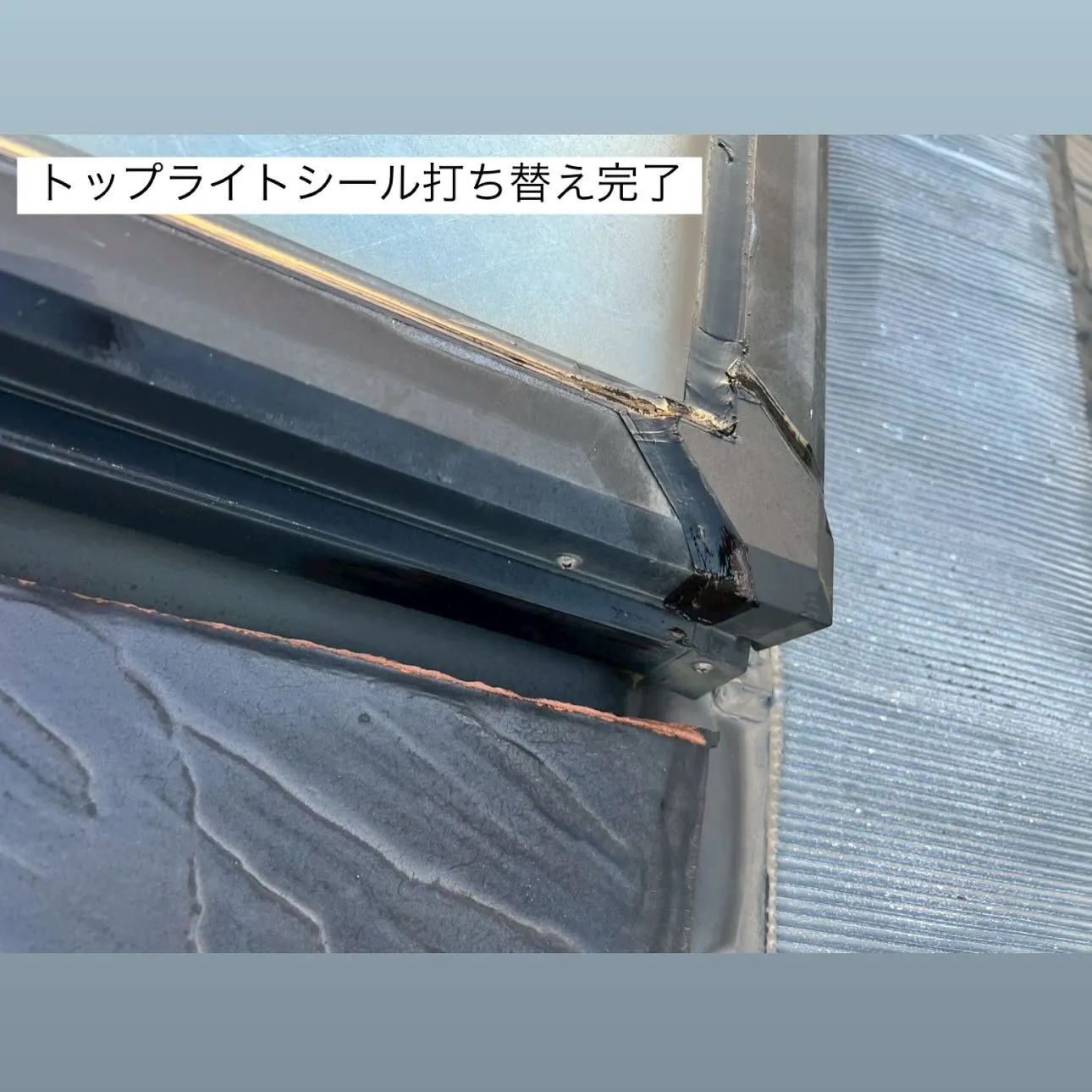 相模原市A様邸 【トップライトシール打ち替え・ベランダ床ケレ...